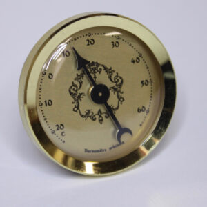 T00.1 mini insteekwerk thermometer 36 mm.