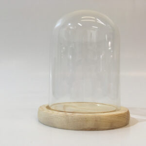 Glazen stolp met blank houten voet voor skeletklokken of jaarpendules 100/130 mm